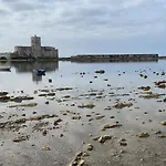 Ulivo